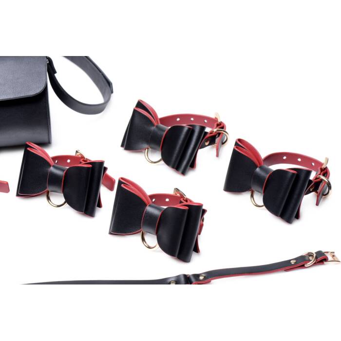 Набір БДСМ з дорожньою сумкою Master Series: Bow — Luxury BDSM Set With Travel Bag, 11 предметів