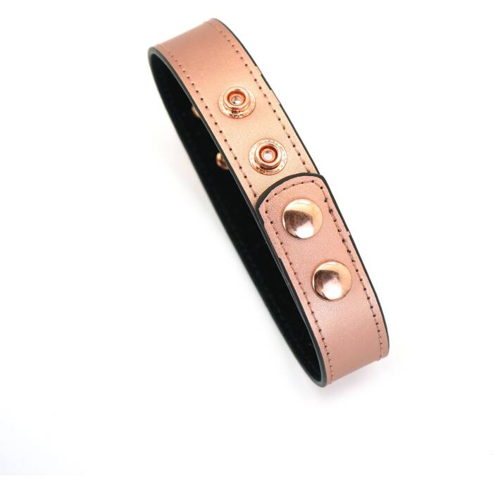 Нашийник із затискачами для сосків Liebe Seele Rose Gold Memory Collar with Nipple Clamps, шкіра