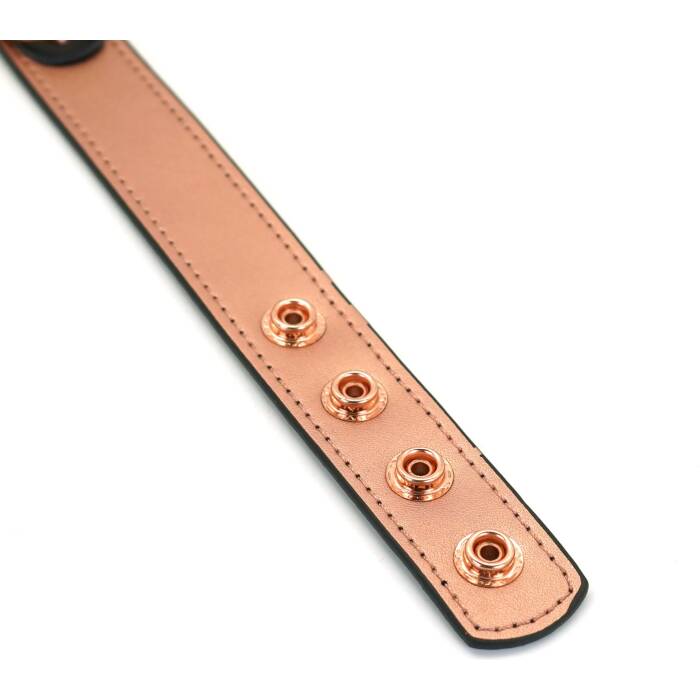 Нашийник із затискачами для сосків Liebe Seele Rose Gold Memory Collar with Nipple Clamps, шкіра